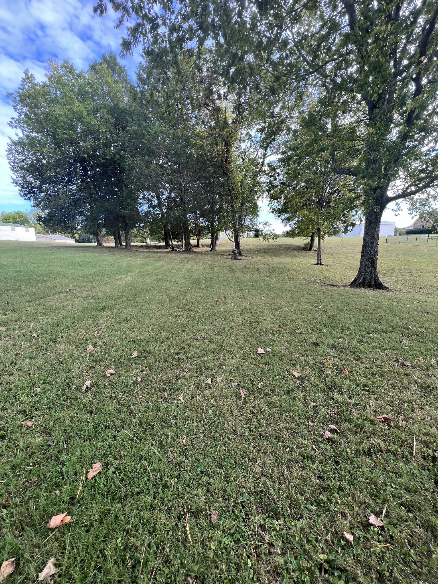 5588 Lebanon Road Lebanon, TN 37087 - Photo 38 of 43 a view of outdoor space with green field and trees