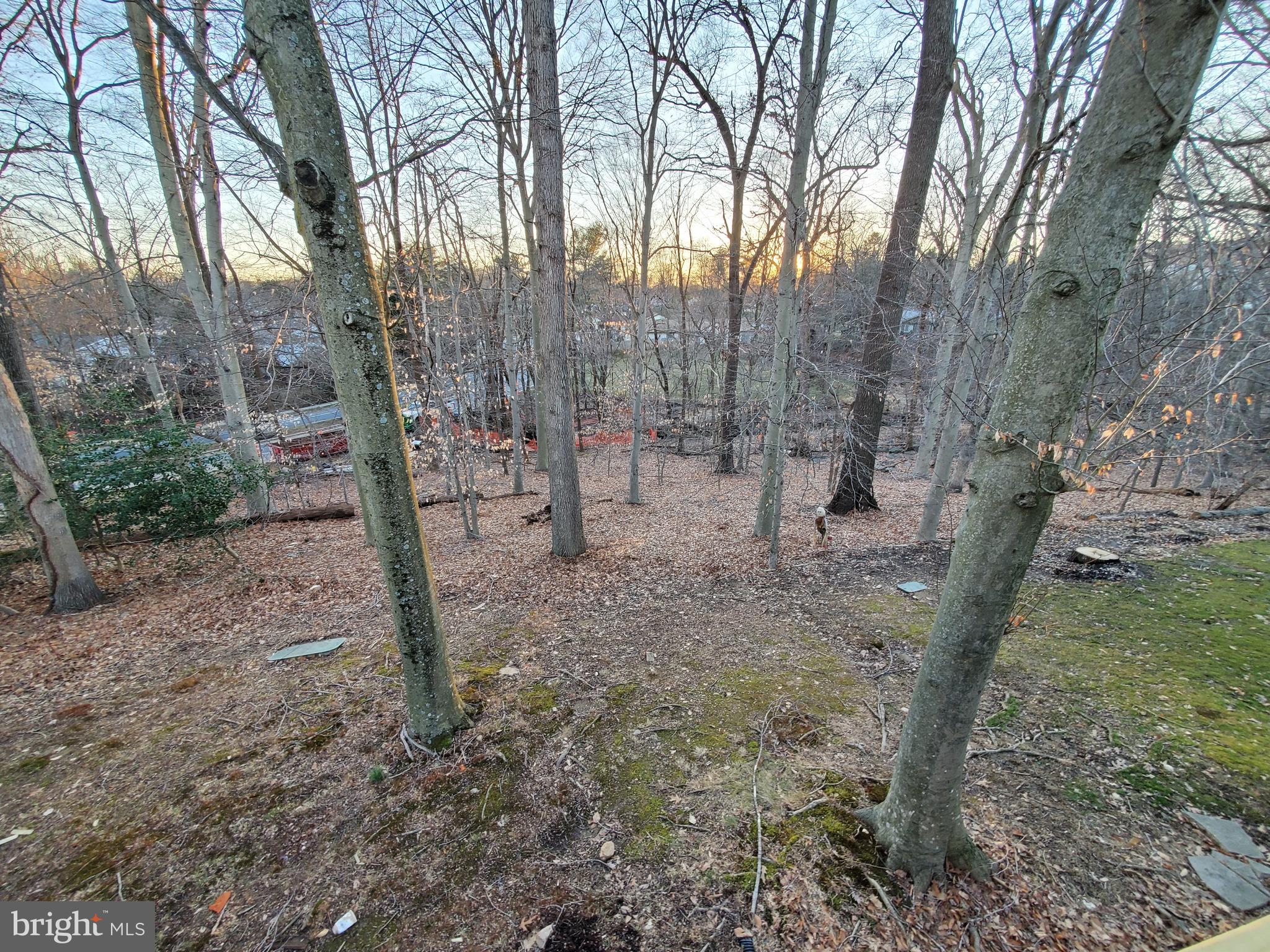 2746 Ashmont Terrace Silver Spring, MD 20906 - Photo 8 of 43