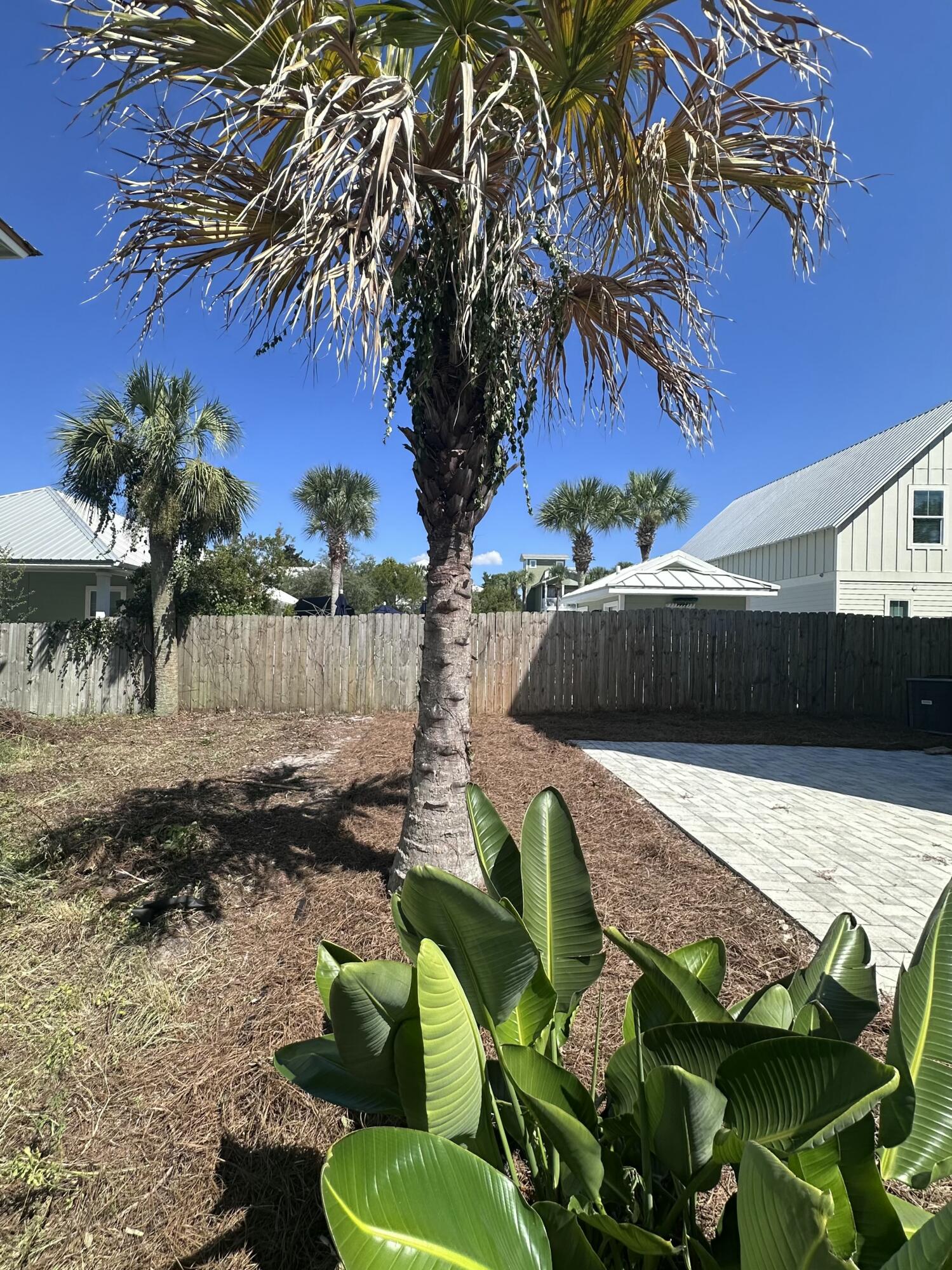 41 Abbie Road Santa Rosa Beach, FL 32459 - Photo 30 of 38 a backyard of a house with lots of green space