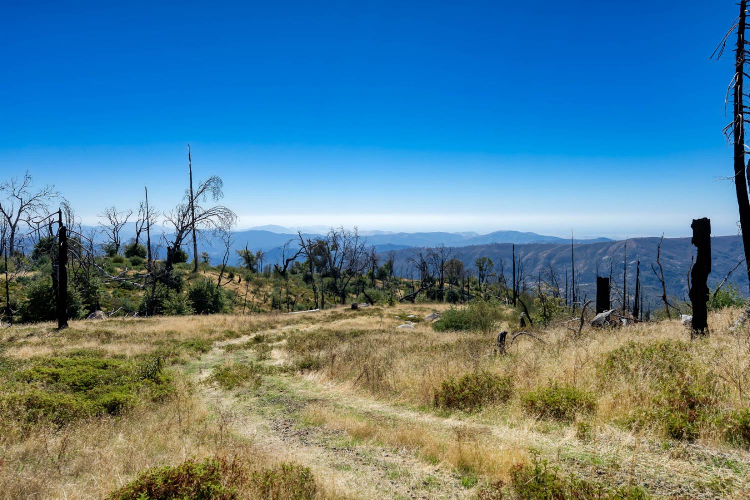 11111 Lower Cressman Road Shaver Lake, CA 93664 - Photo 3 of 23