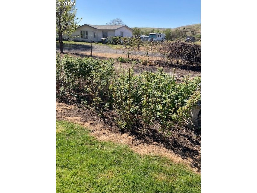 3202 Northeast Riverside Avenue Pendleton, OR 97801 - Photo 17 of 22 a view of a yard with plants and a bench