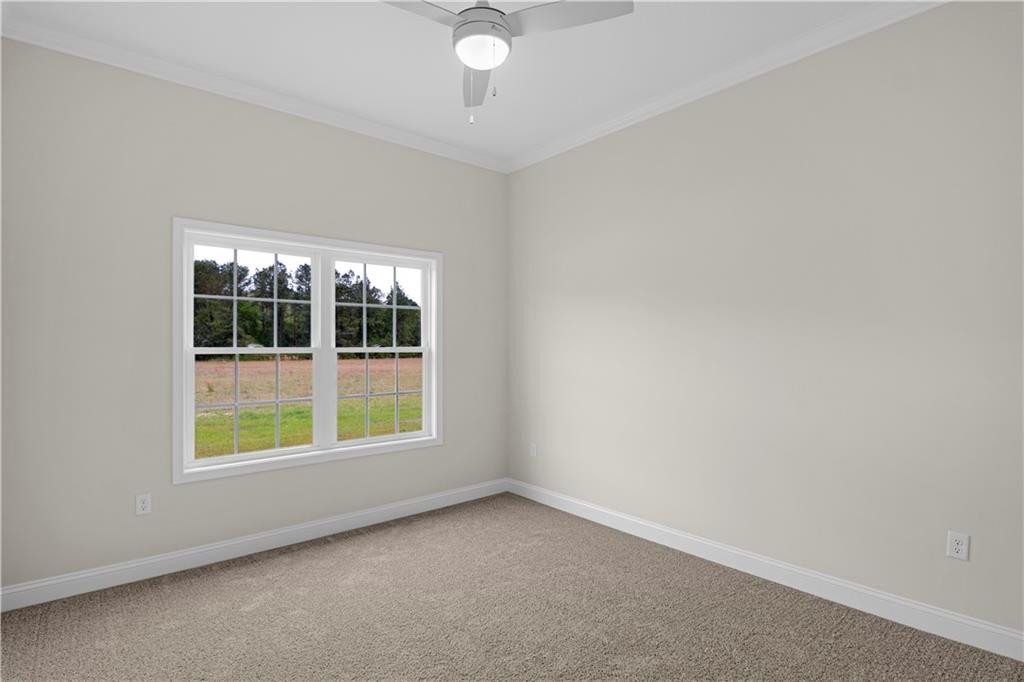 769 South T Morris Road Northeast Ludowici, GA 31316 - Photo 31 of 37 Photo 31