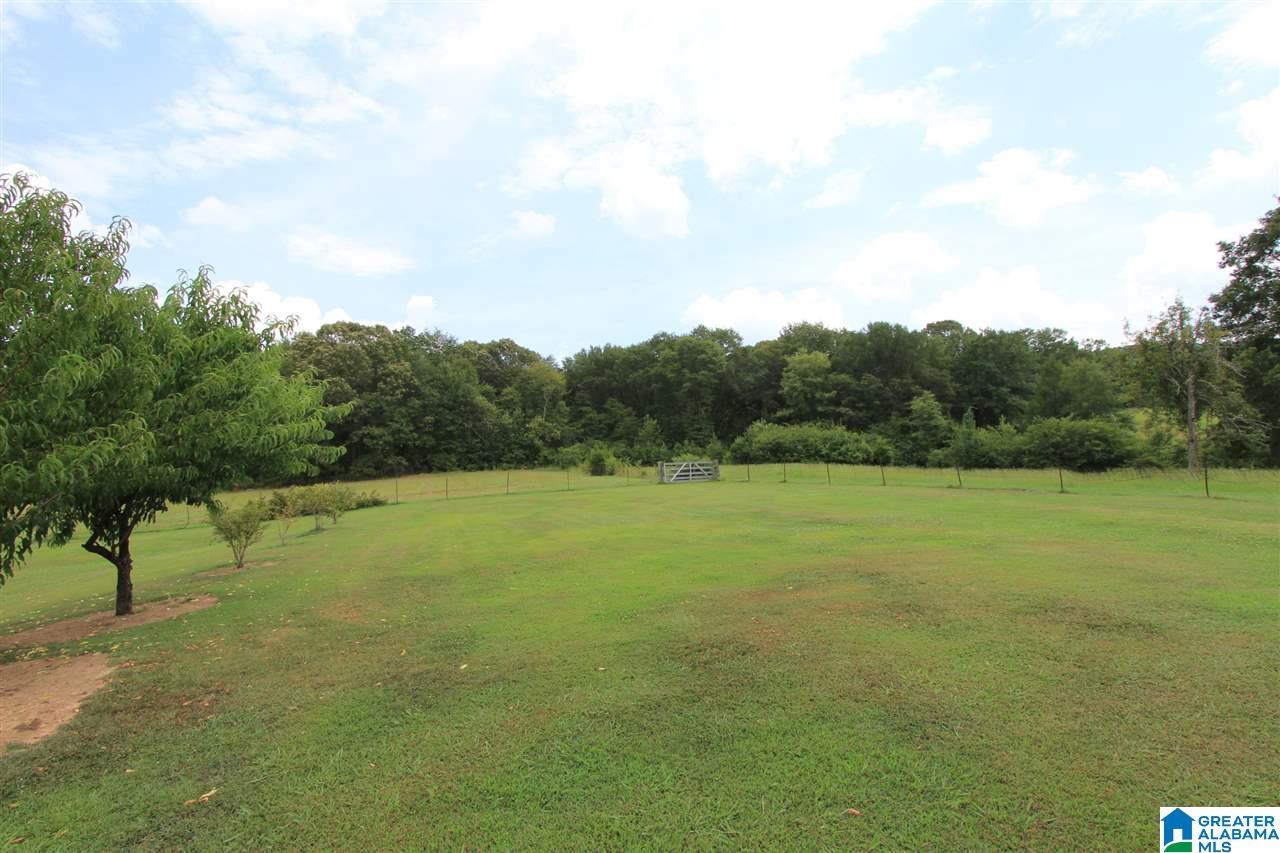 1235 Peaceful Valley Road Eastaboga, AL 36260 - Photo 30 of 38 Gallery Image 30