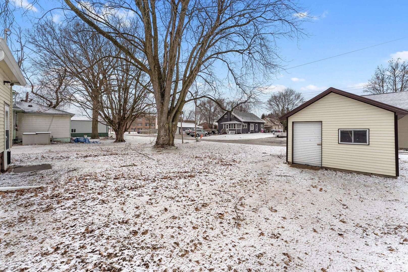 107 East Liberty Street Joy, IL 61260 - Photo 19 of 19 a backyard of a house with a large tree