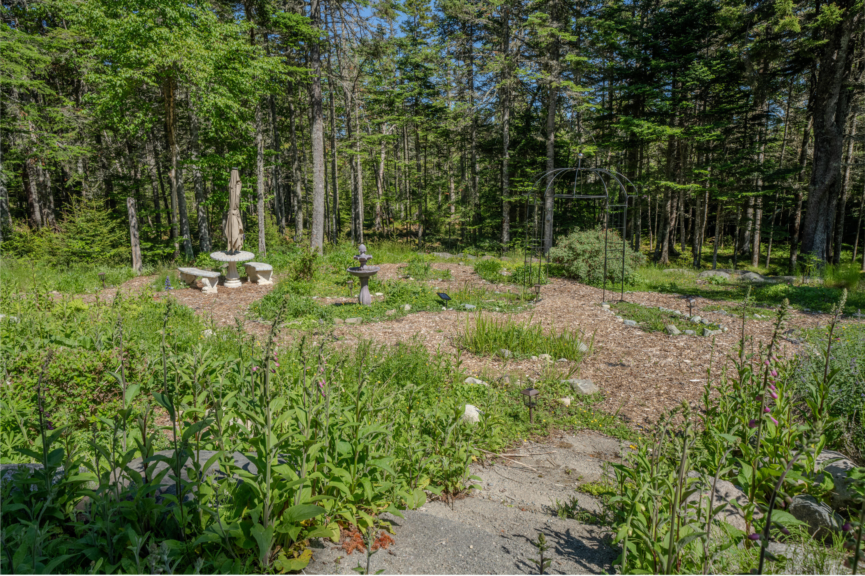 557 Yoho Head Road Machiasport, ME 04655 - Photo 111 of 136 0431