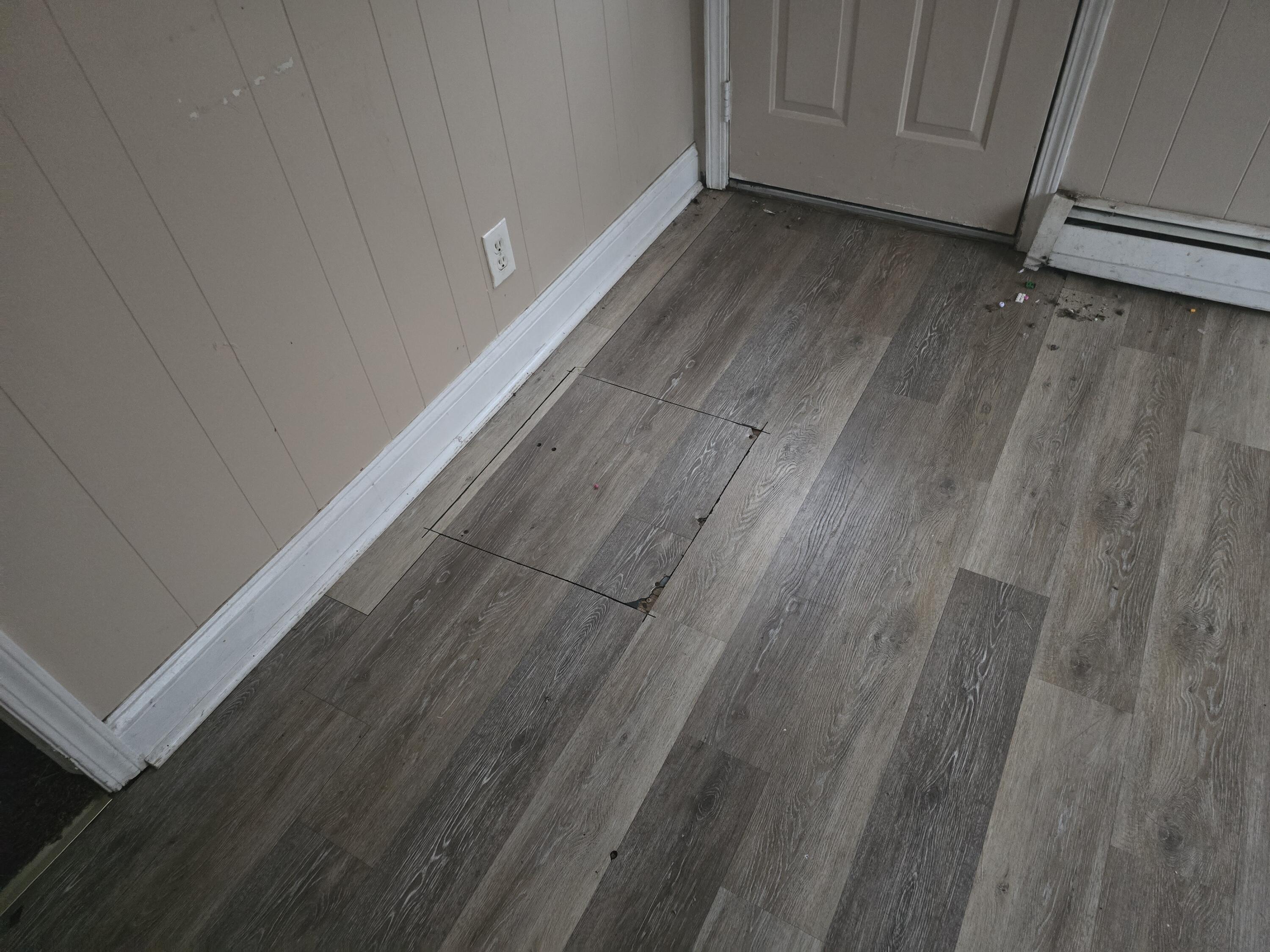 21706 Rausch Avenue Eastpointe, MI 48021 - Photo 9 of 14 20241119_145925