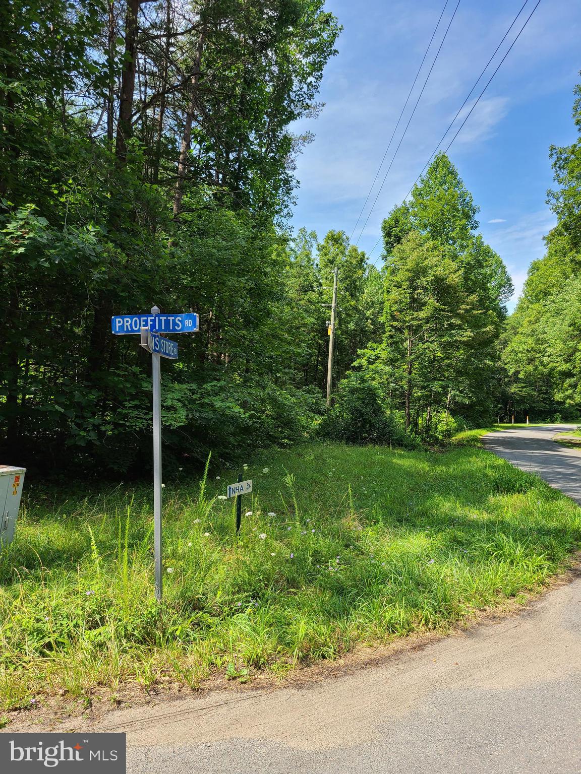 1087 Waltons Store Road Louisa, VA 23093 - Photo 4 of 12 Gallery Image 4