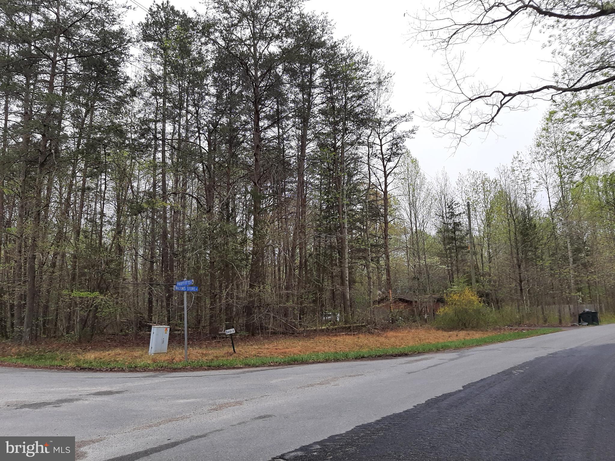 1087 Waltons Store Road Louisa, VA 23093 - Photo 10 of 12 Gallery Image 10