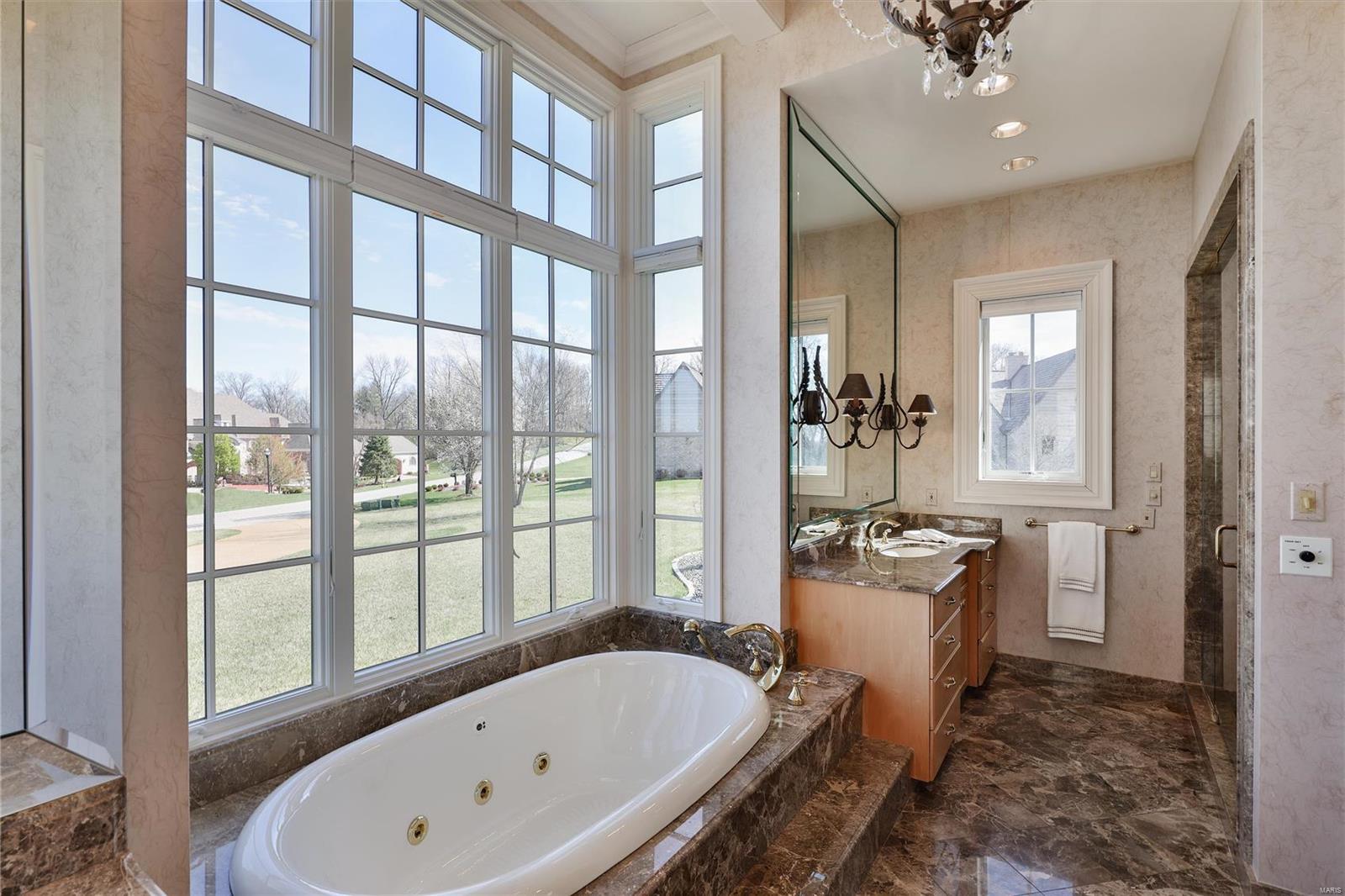 6 Upper Whitmoor Drive Weldon Spring, MO 63304 - Photo 30 of 61