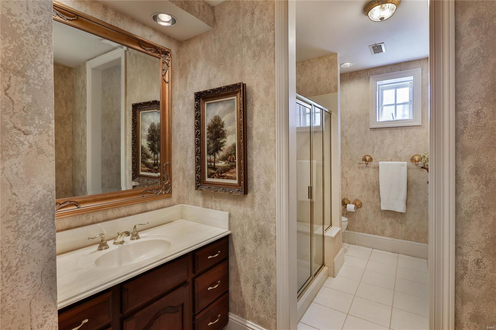 6 Upper Whitmoor Drive Weldon Spring, MO 63304 - Photo 36 of 61