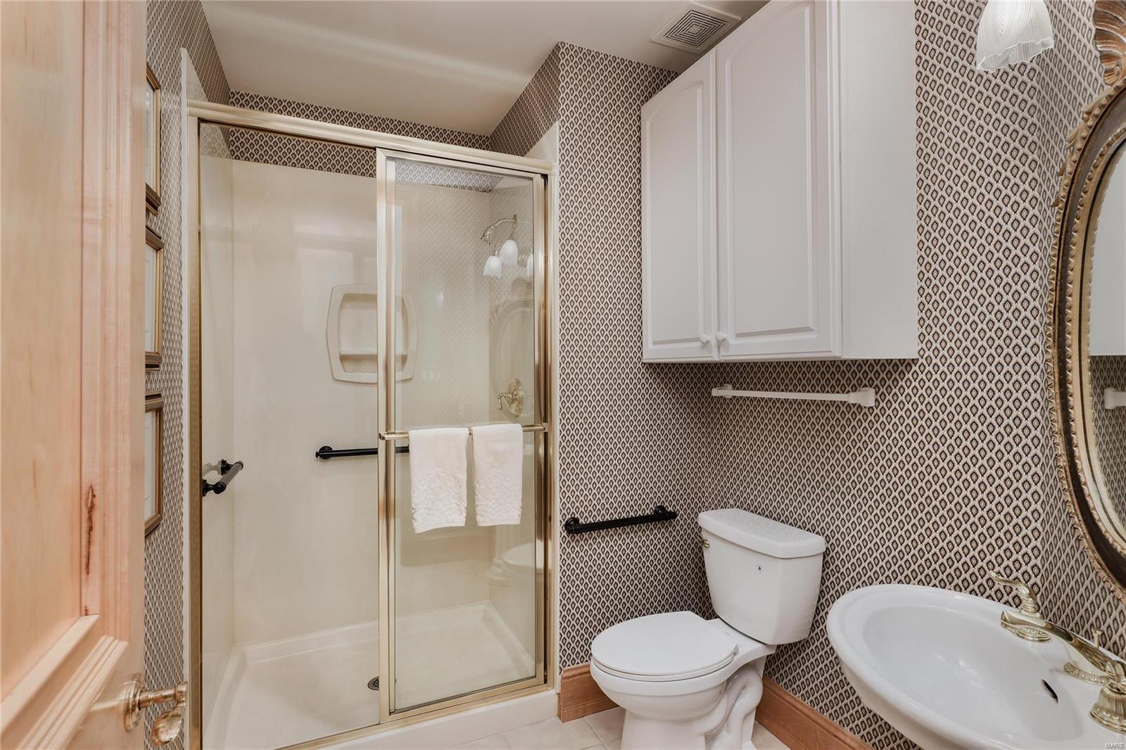 6 Upper Whitmoor Drive Weldon Spring, MO 63304 - Photo 39 of 61