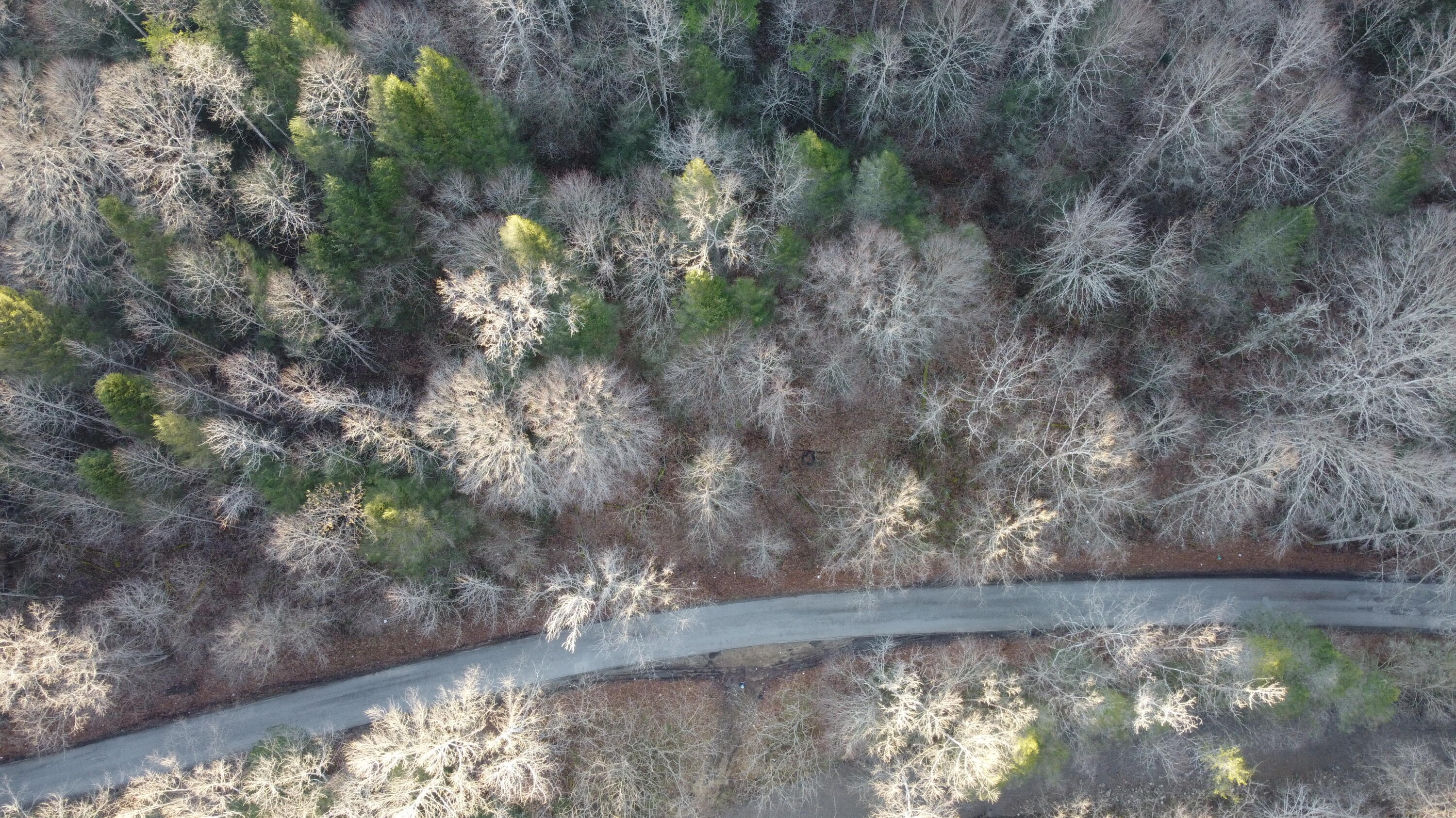 500 Simms Fork Road Arjay, KY 40902 - Photo 4 of 12 DJI_0563