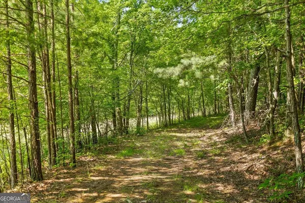 $2,395,000 | 1800 Highway 286, Chatsworth, GA 30705