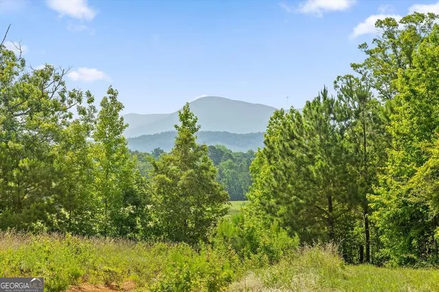 $2,395,000 | 1800 Highway 286, Chatsworth, GA 30705