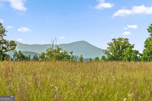 $2,395,000 | 1800 Highway 286, Chatsworth, GA 30705