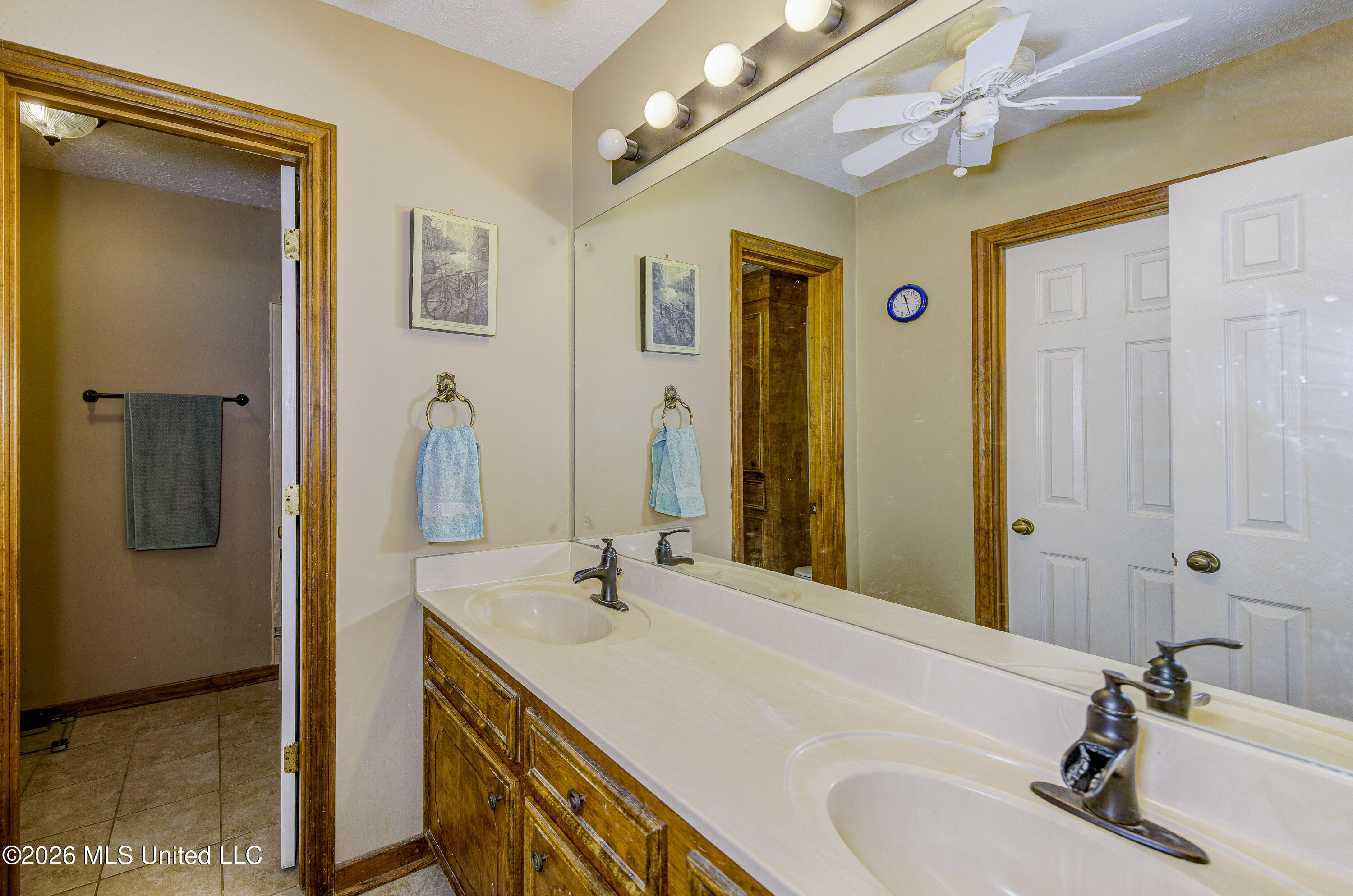 103 Erin Cove Clinton, MS 39056 - Photo 20 of 39 21 Primary Bathroom 1