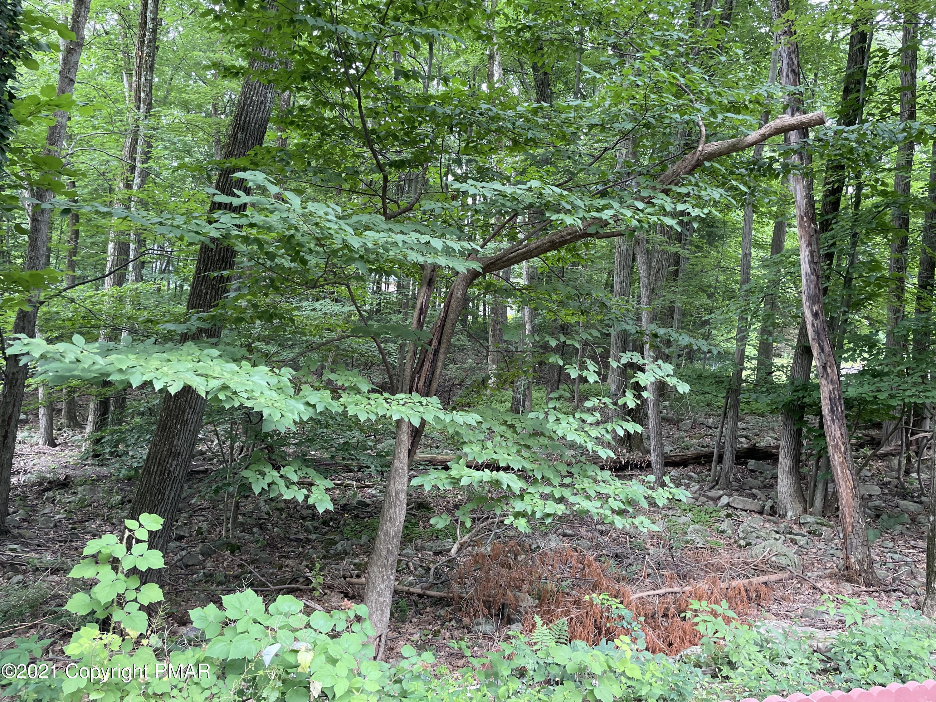 51 Seneca Road Mount Pocono, PA 18344 - Photo 34 of 34 IMG_4280 5-2