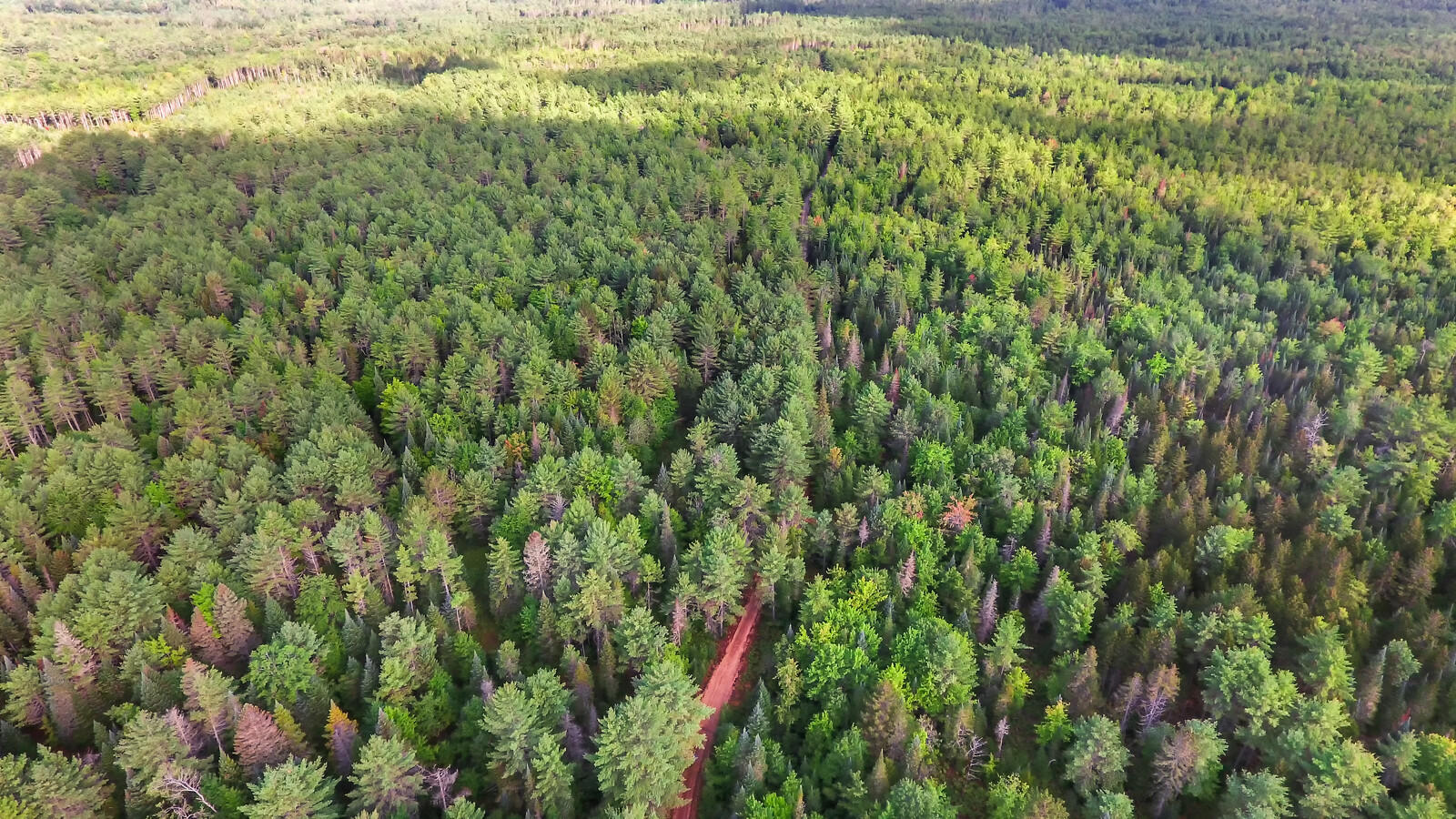 167 Harrison Road Oxford, ME 04270 - Photo 38 of 40 11_DJI_0011_copy_mls