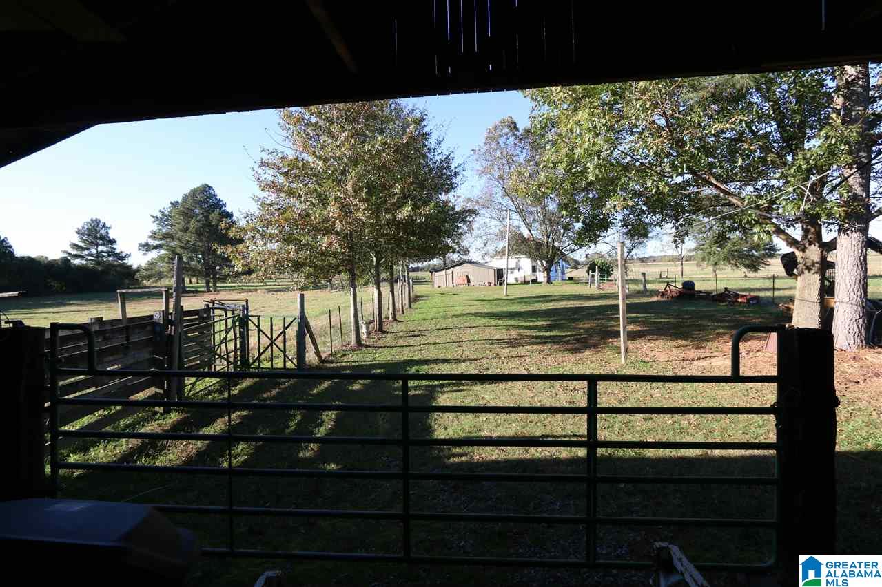 567 Dial Road Blountsville, AL 35031 - Photo 30 of 46