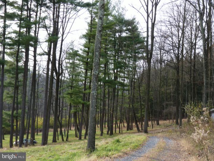 138 Wheatfield Road Reading, PA 19608 - Photo 3 of 8