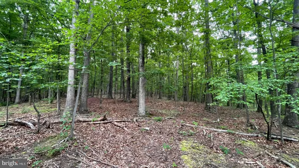 $23,900 | Lot 53 Hidden Springs, Slanesville, WV 25444