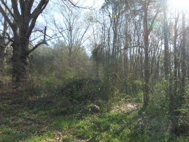 2624 Refuge Road Central, SC 29630 - Photo 6 of 7