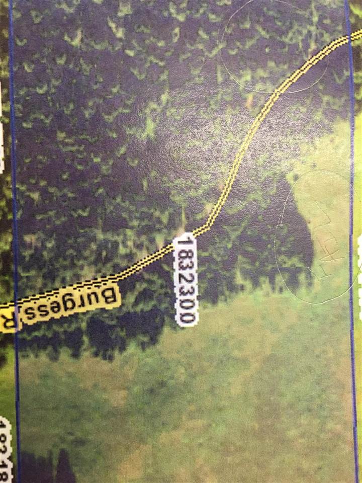 2554 Burgess Road Addy, WA 99101 - Photo 1 of 1