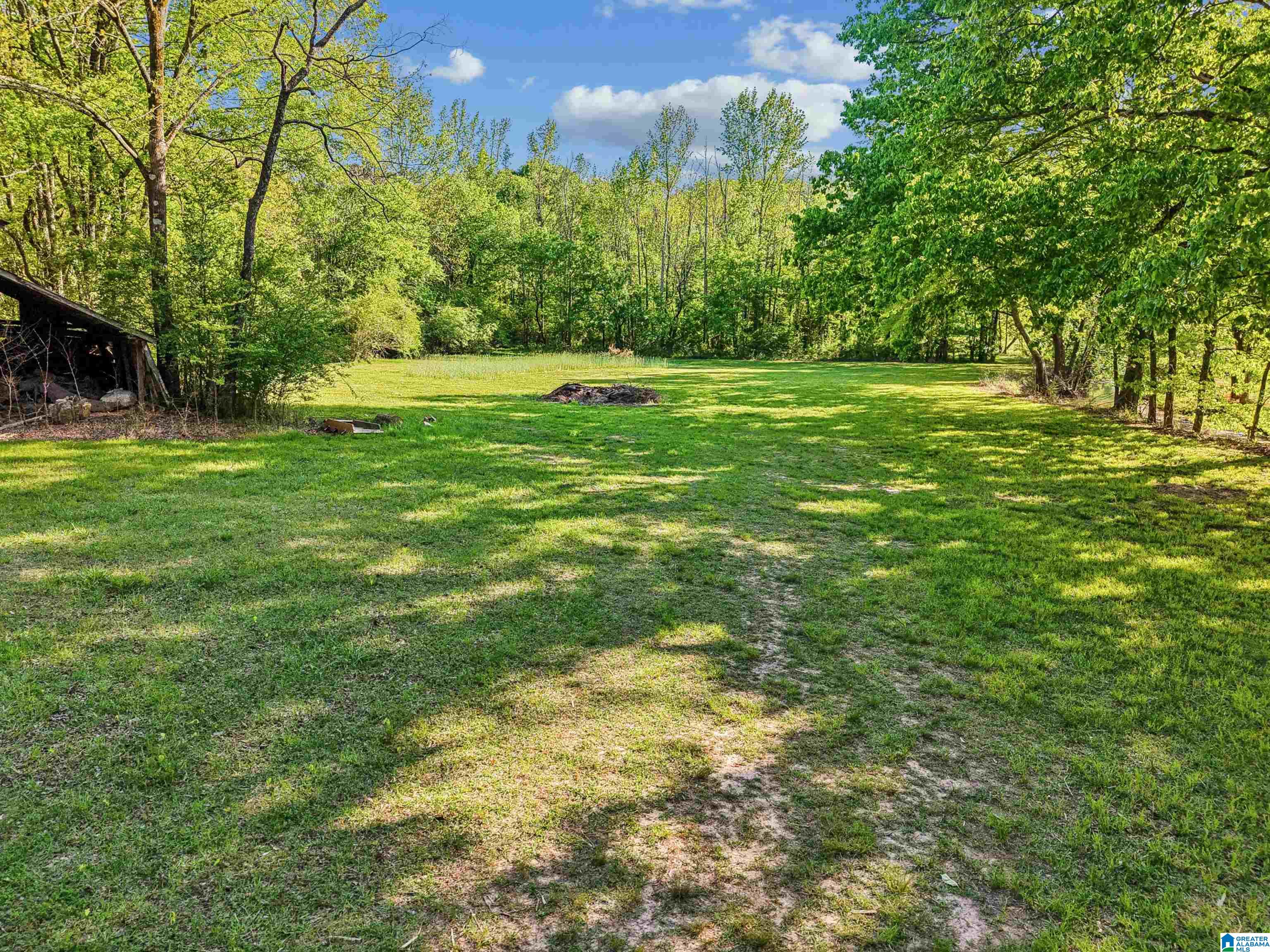 1680 Highway 174 Springville, AL 35146 - Photo 28 of 97