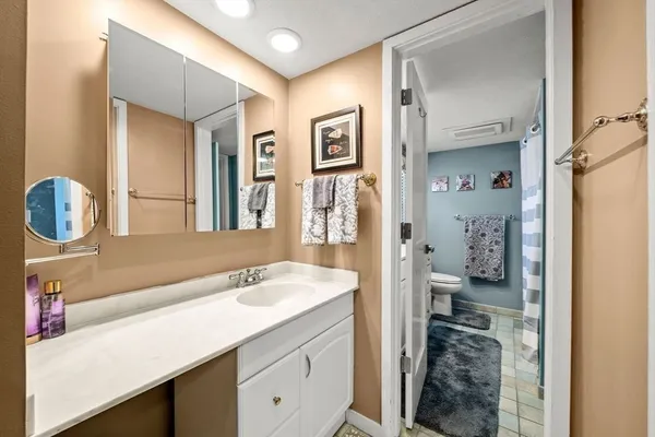 a bathroom with a sink a toilet and a mirror