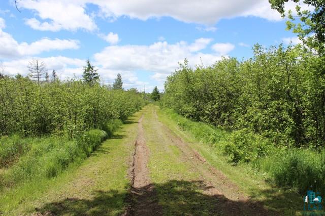 4711 Hallbeck Road Saginaw, MN 55779 - Photo 16 of 18 Road Down to Lake