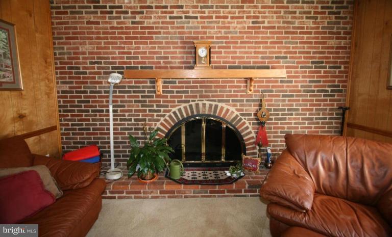 9243 Log Chain Road Columbia, MD 21045 - Photo 11 of 21 Fireplace