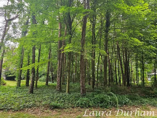 $215,000 | 3365 Clearview Lane, Saugatuck, MI 49453