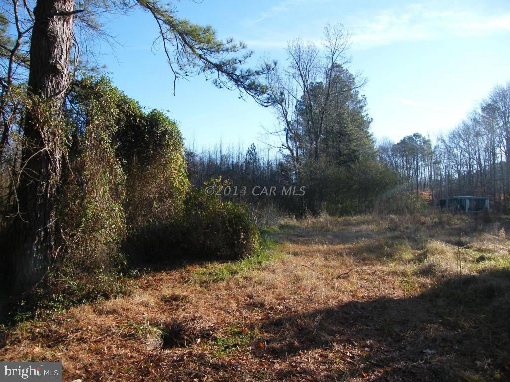 8245 River Road Westover, MD 21871 - Photo 1 of 1 Gallery Image 1