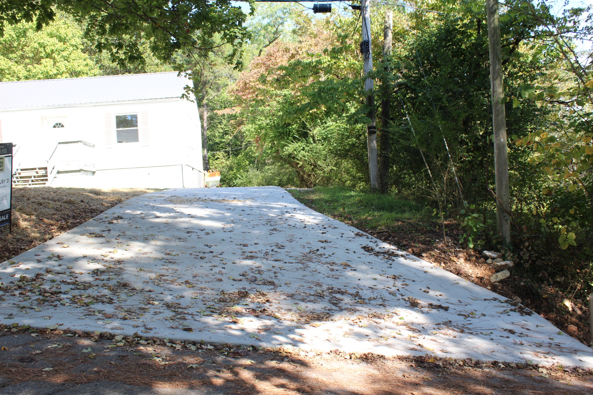 78 College Street Erin, TN 37061 - Photo 17 of 17 a view of a backyard with large trees