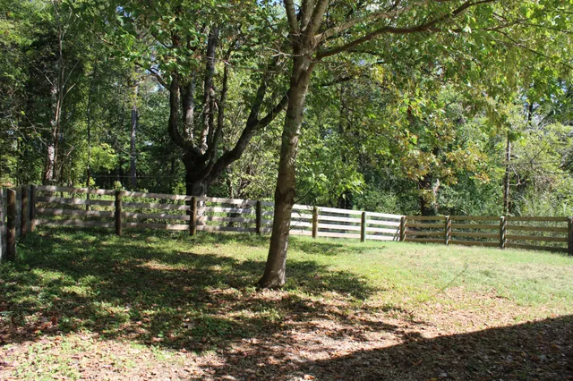a view of a backyard with large trees