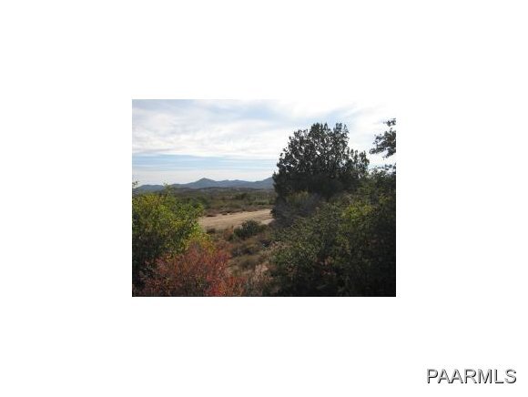1210 Yarber Wash Road Dewey, AZ 86327 - Photo 2 of 8 Additional Photo