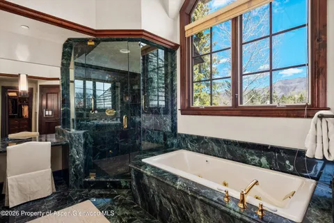 a bathroom with a bathtub and a shower