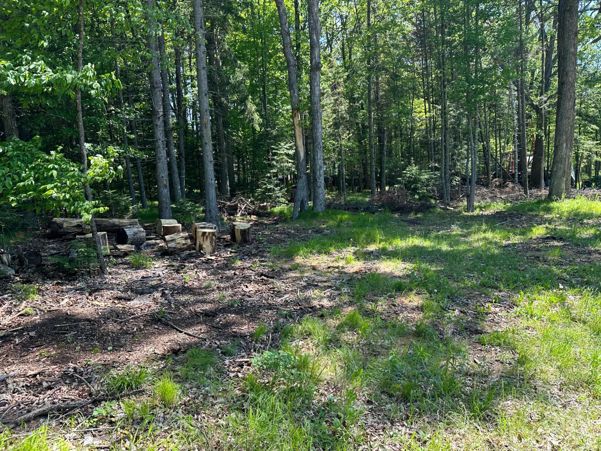 2193 Sugar Maple Village Road Phelps, WI 54554 - Photo 10 of 19 Gallery Image 10