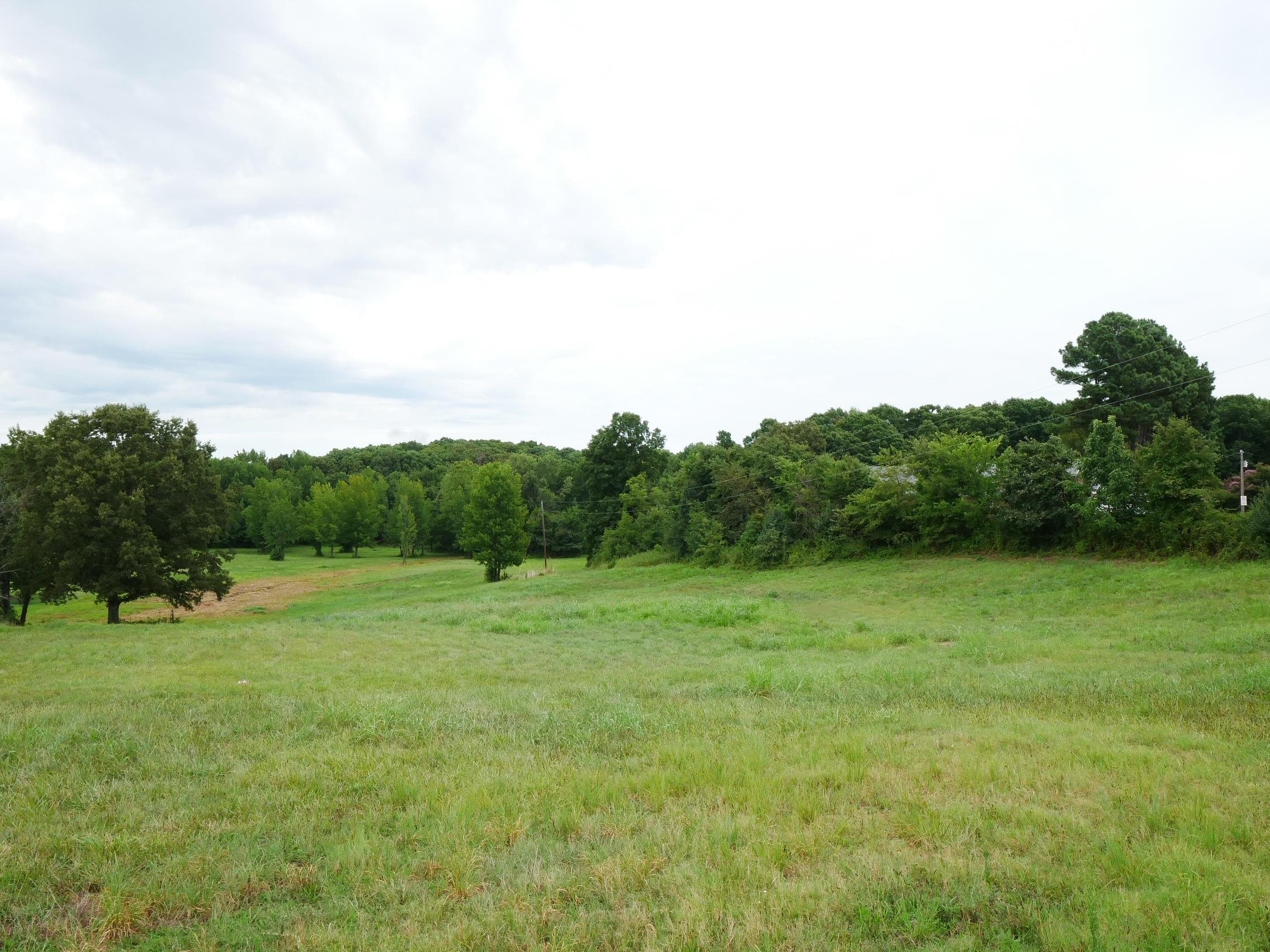 Chestnut Grove Road Brownsville, TN 38012 - Photo 8 of 10 Gallery Image 8