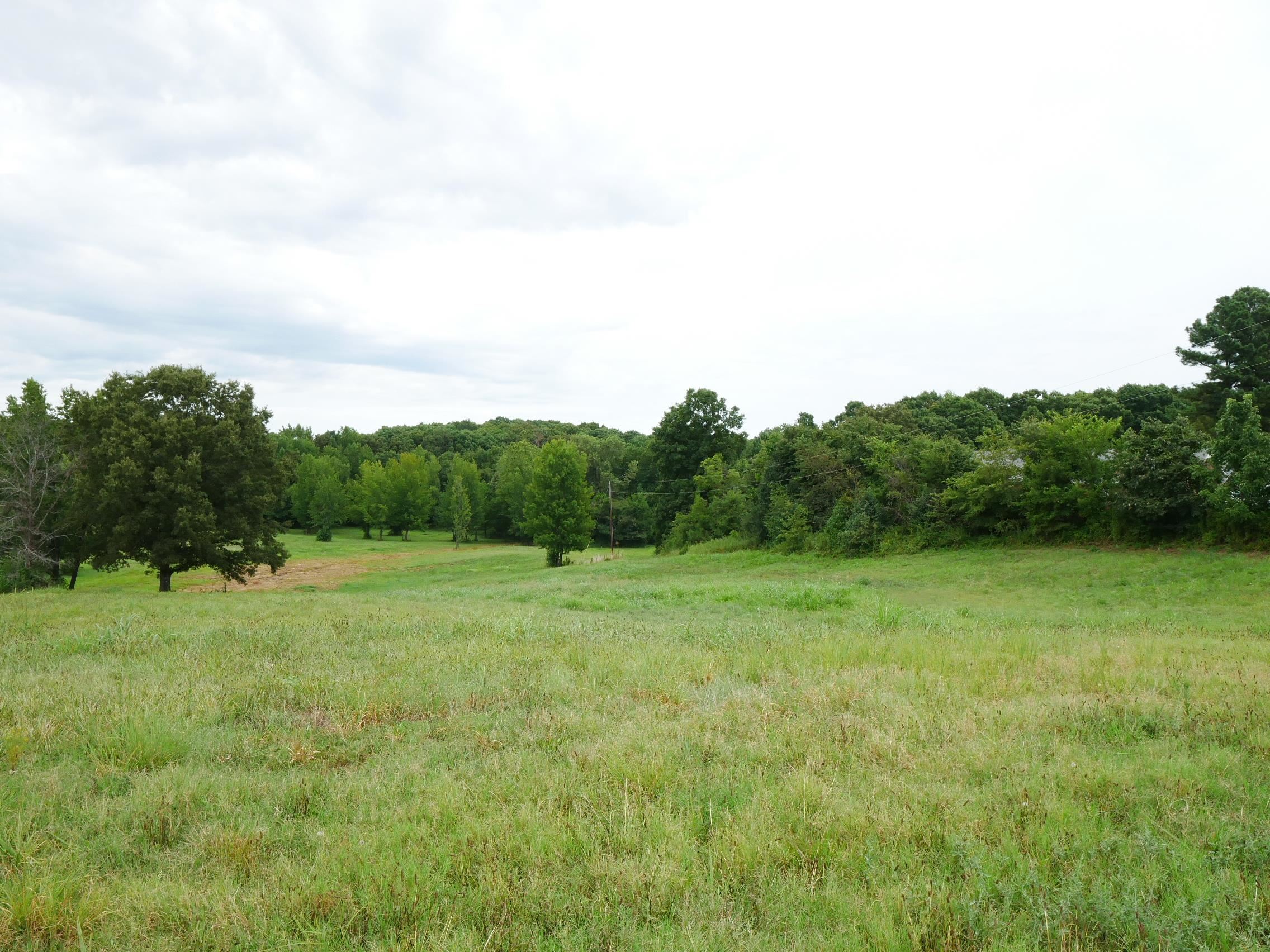 Chestnut Grove Road Brownsville, TN 38012 - Photo 9 of 10 Gallery Image 9