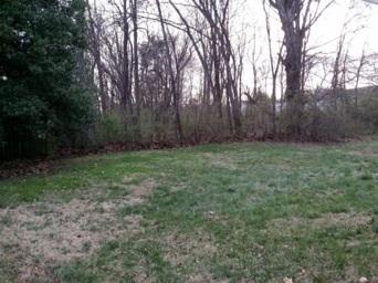 2301 Crestpark Road Knoxville, TN 37912 - Photo 21 of 24 Level Backyard