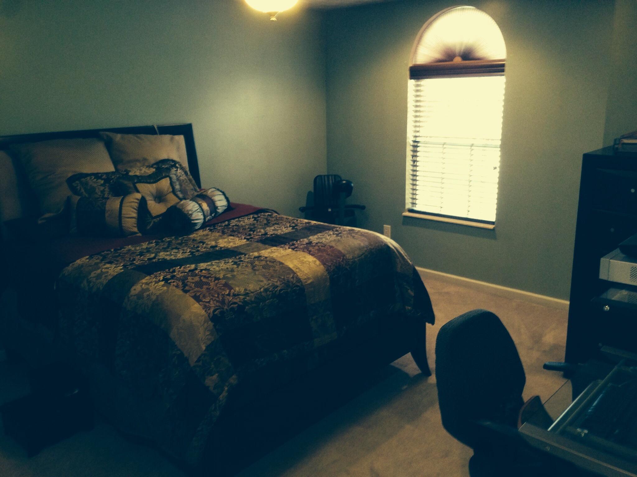 2301 Crestpark Road Knoxville, TN 37912 - Photo 6 of 24 Sunny Master with Custom Blinds