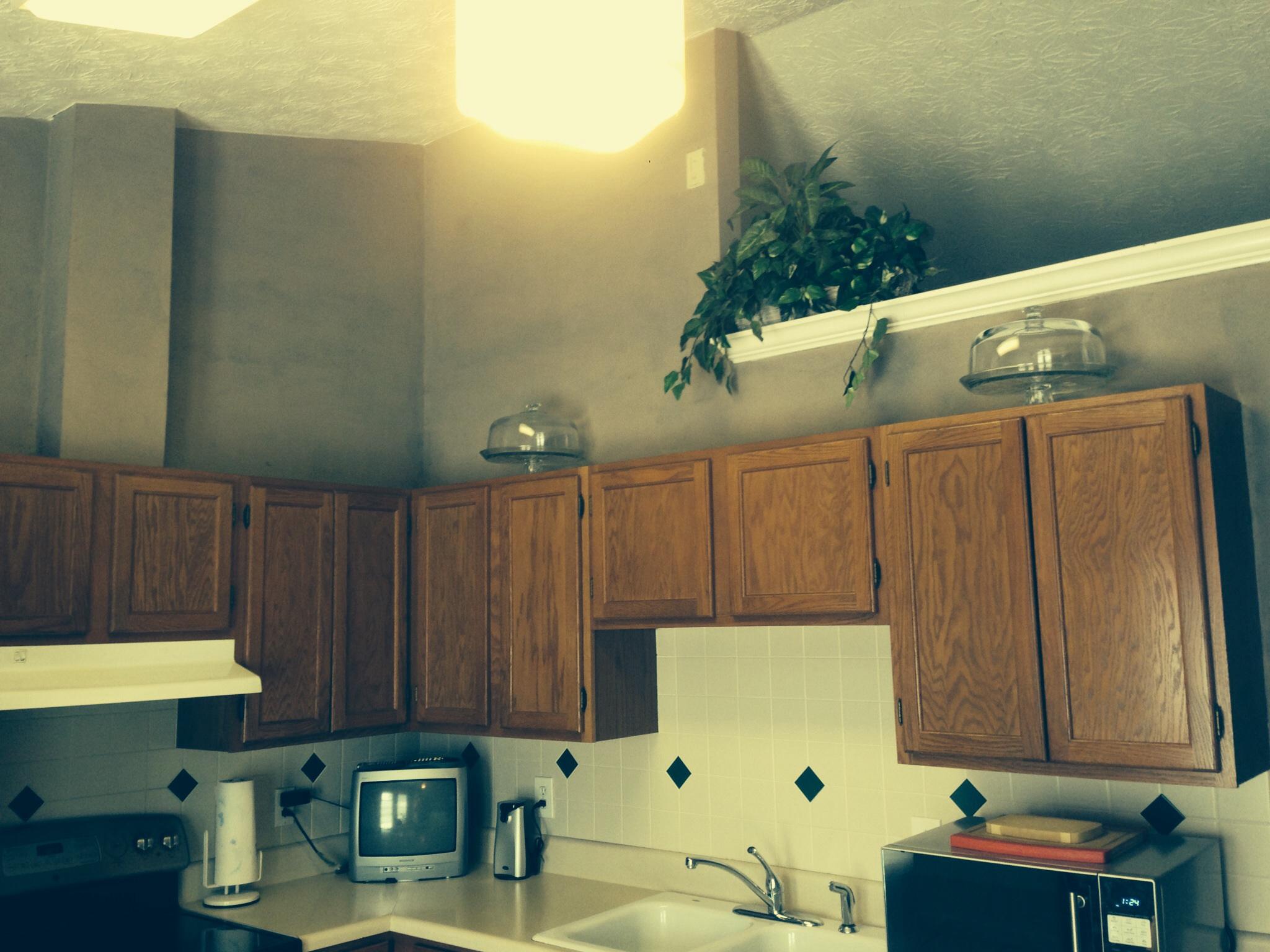 2301 Crestpark Road Knoxville, TN 37912 - Photo 7 of 24 Vaulted Ceiling In Kitchen