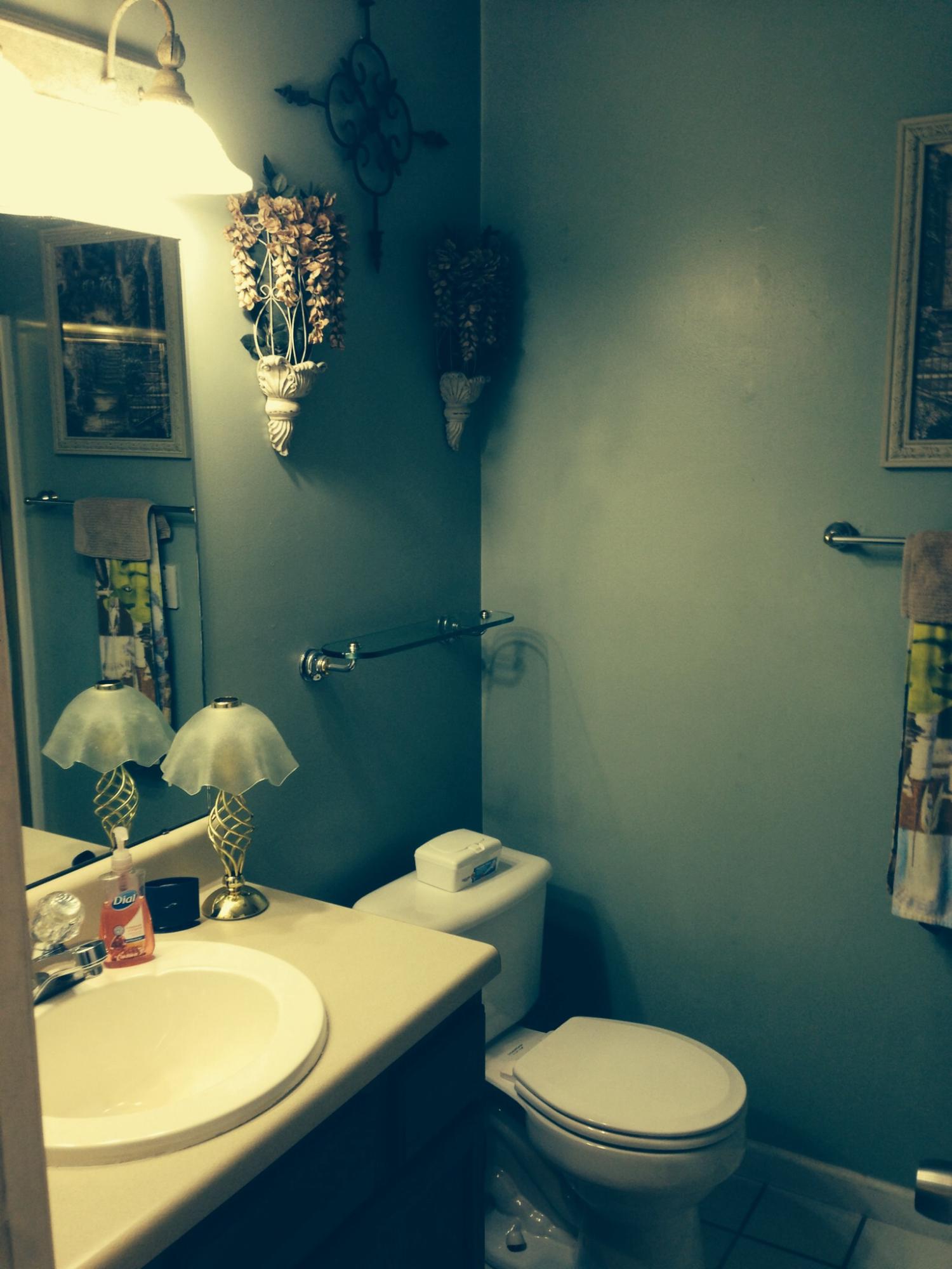 2301 Crestpark Road Knoxville, TN 37912 - Photo 8 of 24 Master Bath