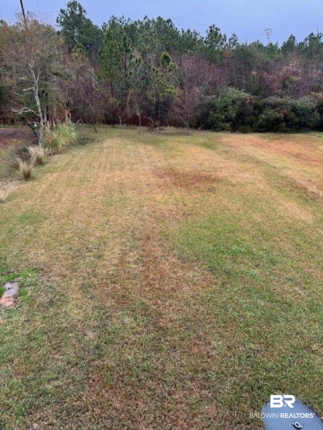 8100 Coden Belt Road West Coden, AL 36523 - Photo 11 of 12 View of yard