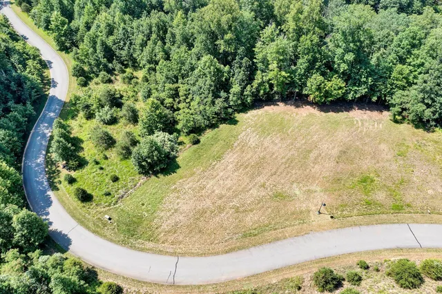 a view of a lake in a forest