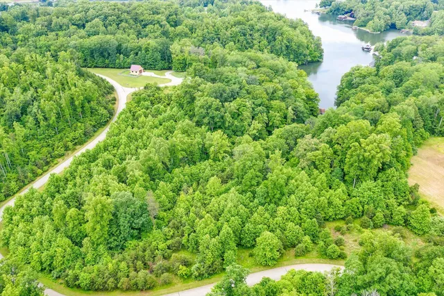 a view of a yard with plants