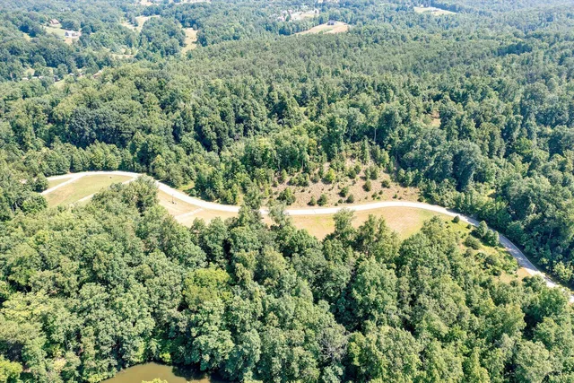 a view of a bunch of trees and bushes