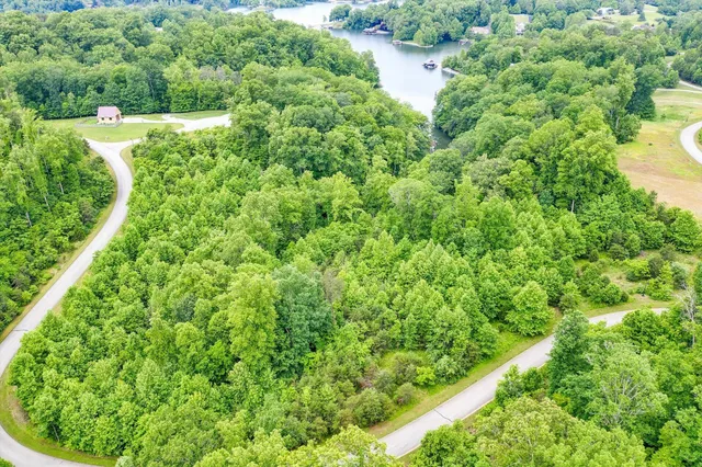 a view of a garden with a tree