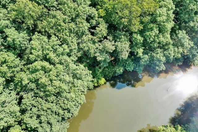 a view of a lake with a yard